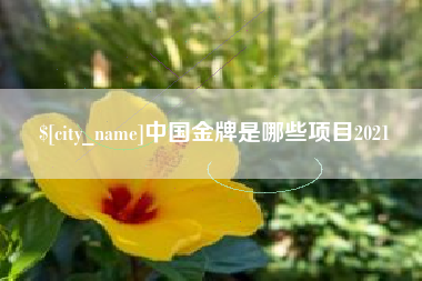 武汉中国金牌是哪些项目2021