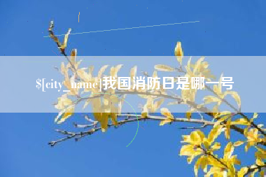 武汉我国消防日是哪一号