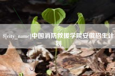 武汉中国消防救援学院安徽招生计划