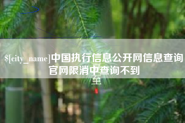 武汉中国执行信息公开网信息查询官网限消中查询不到
