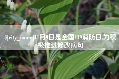 武汉11月9日是全国119消防日,为积极推进修改病句