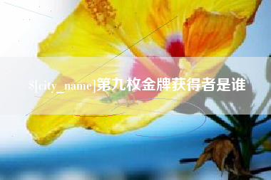 武汉第九枚金牌获得者是谁