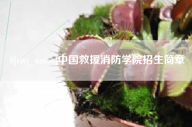 武汉中国救援消防学院招生简章