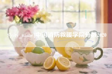 武汉中国消防救援学院分数2020