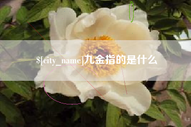 武汉九金指的是什么