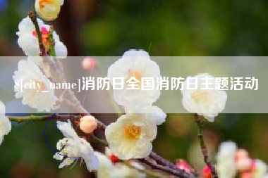 武汉消防日全国消防日主题活动