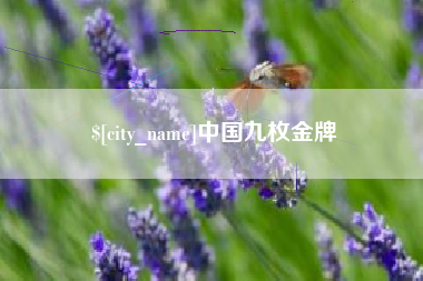 武汉中国九枚金牌