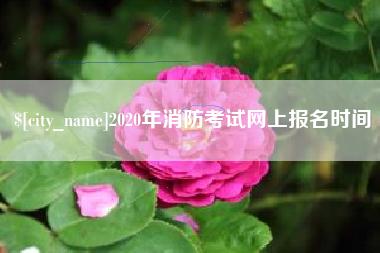 武汉2020年消防考试网上报名时间
