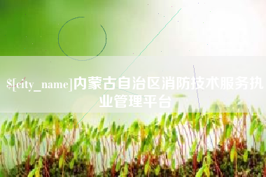 武汉内蒙古自治区消防技术服务执业管理平台