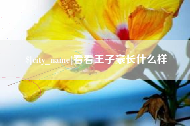 武汉看看王子豪长什么样