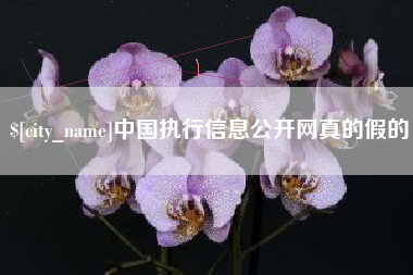 武汉中国执行信息公开网真的假的