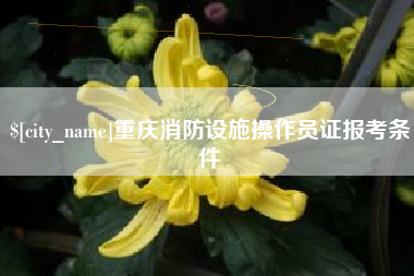 武汉重庆消防设施操作员证报考条件