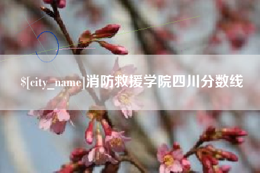 武汉消防救援学院四川分数线