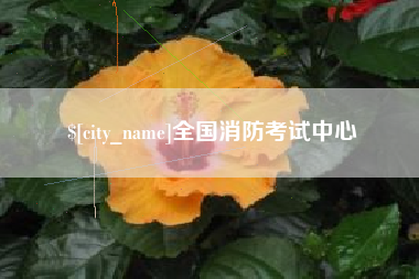 武汉全国消防考试中心