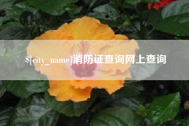 武汉消防证查询网上查询