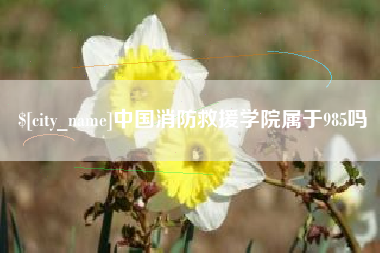 武汉中国消防救援学院属于985吗