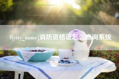 武汉消防资格证怎么查询系统