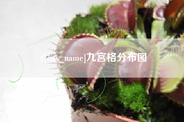 武汉九宫格分布图