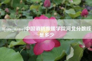 武汉中国消防救援学院河北分数线是多少