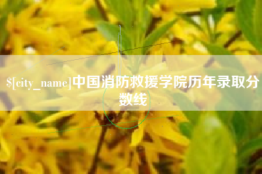 武汉中国消防救援学院历年录取分数线