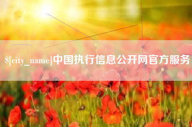 武汉中国执行信息公开网官方服务