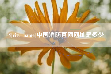 武汉中国消防官网网址是多少