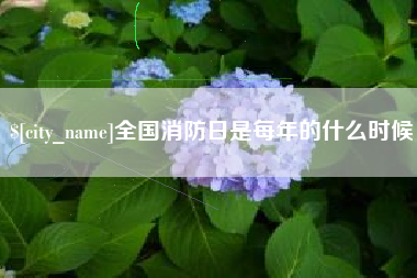 武汉全国消防日是每年的什么时候