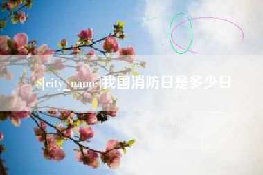 武汉我国消防日是多少日