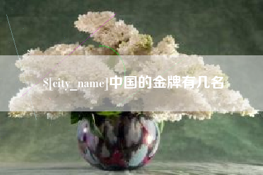 武汉中国的金牌有几名