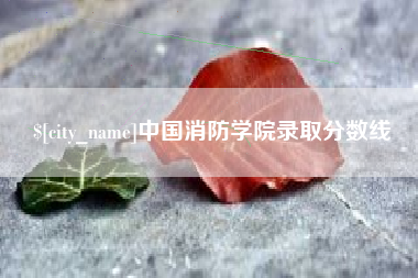 武汉中国消防学院录取分数线