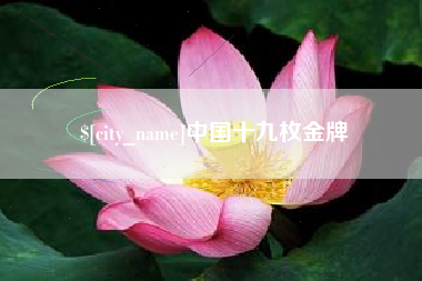 武汉中国十九枚金牌