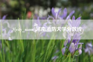武汉河南消防大学分数线