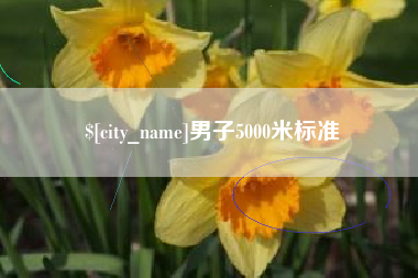 武汉男子5000米标准