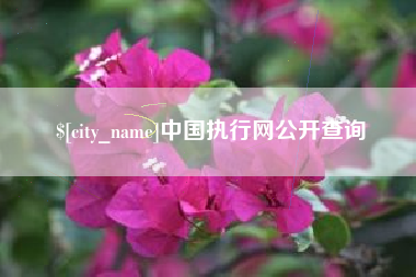 武汉中国执行网公开查询