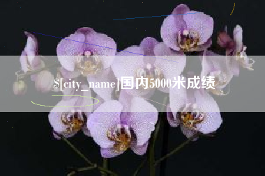 武汉国内5000米成绩