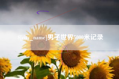 武汉男子世界5000米记录