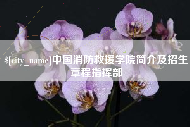 武汉中国消防救援学院简介及招生章程指挥部