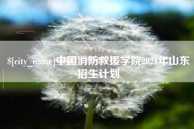 武汉中国消防救援学院2021年山东招生计划