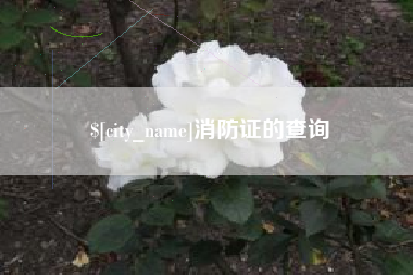 武汉消防证的查询