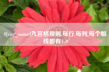 武汉九宫格规则,每行,每列,每个粗线都有1-9