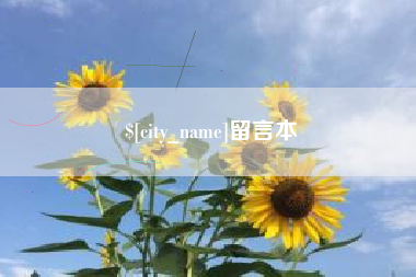 武汉留言本