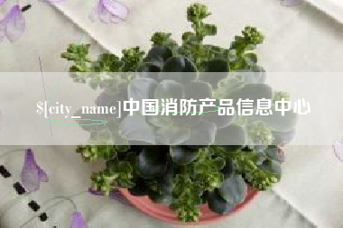 武汉中国消防产品信息中心