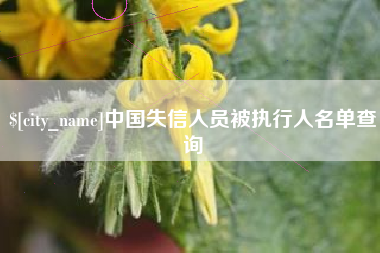 武汉中国失信人员被执行人名单查询