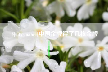 武汉中国金牌得了几枚金牌