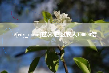 武汉世界地图放大100000倍