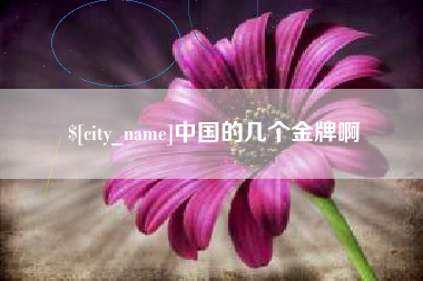 武汉中国的几个金牌啊
