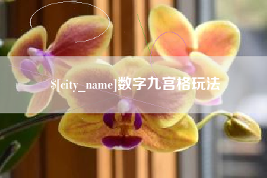 武汉数字九宫格玩法