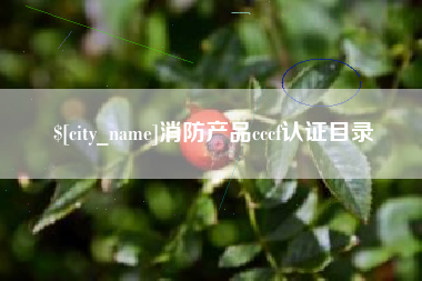 武汉消防产品cccf认证目录