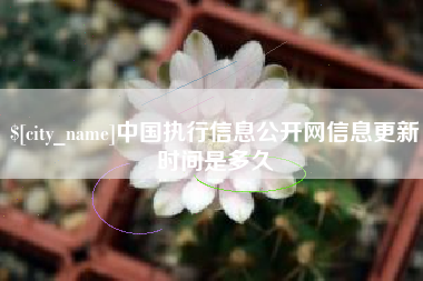 武汉中国执行信息公开网信息更新时间是多久