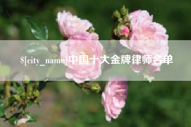 武汉中国十大金牌律师名单